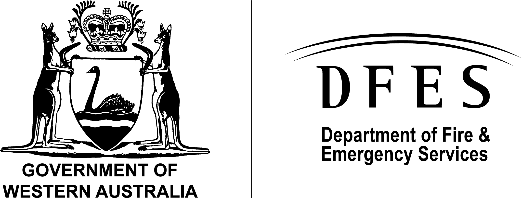 Department of Fire and Emergency Services